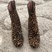 J. Crew Shoes | Cheetah Print Short Boots From J Crew | Color: Black/Brown | Size: 6.5