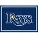 Imperial Tampa Bay Rays 2'8" x 3'10" Area Rug