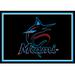 Imperial Miami Marlins 2'8" x 3'10" Area Rug