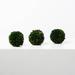 Primrue 3 - Piece Artificial Boxwood Topiary Set Silk | 4 H x 4 W x 4 D in | Wayfair 552108FE968B4650811F7815DEED7488