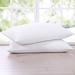 Firefly Twin Pack White Feather Down Blend Pillow