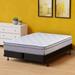 Full 20" Hybrid Mattress - The Twillery Co.® Laird 12-Inch Ultra Plush Euro Top Single Sided w/ Box Spring/Foundation | 74 H x 53 W 20 D in Wayfair