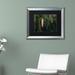 Trademark Fine Art 'Pine' by Jason Shaffer Framed Photographic Print Canvas, Wood in Green | 0.5 D in | Wayfair JS0101-B1620BMF