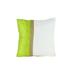 Fabric Accent Pillow with Jute Strip - White and Green - 17 H x 17 W x 1 L Inches