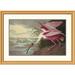 Global Gallery Roseate Spoonbill by John James Audubon Framed Painting Print Metal | 28.9 H x 1.5 D in | Wayfair DPF-197753-30-102