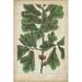 Gracie Oaks Oak Leaves & Acorns I Canvas | 12 H x 8 W x 1.25 D in | Wayfair 80C281C54C4F47E7BA709F93CF6FD635