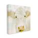 Stupell Industries Soft Cow Cattle Face Closeup Layered Background by Kim Allen - Painting in White | 24 H x 24 W x 1.5 D in | Wayfair