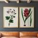 Red Barrel Studio® Antique Floral Folio IX Premium Framed Canvas - Ready To Hang Canvas, Solid Wood in Green/Red | 36.5 H x 53 W x 1.25 D in | Wayfair