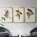 Wexford Home Elegant Trogons I Premium Framed Canvas - Ready To Hang Canvas, Solid Wood in Green/Orange/Red | 36.5 H x 53 W x 2.5 D in | Wayfair