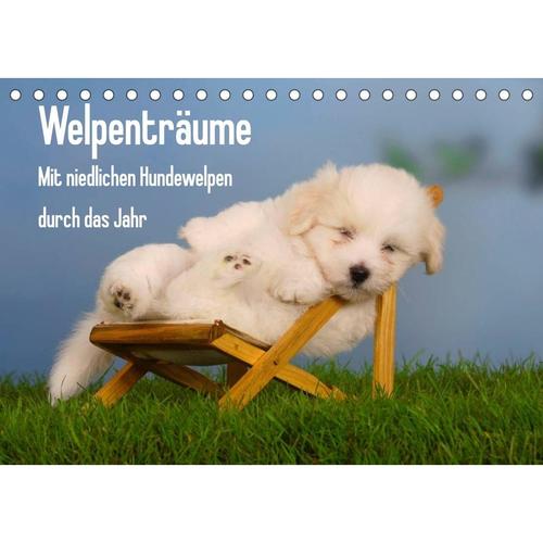 Welpenträume - Mit Niedlichen Hundewelpen Durch Das Jahr (Tischkalender 2023 Din A5 Quer)