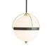 Arteriors Home Dorothy 53 Inch Large Pendant - 49664