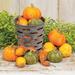 Gracie Oaks Lakrisha Pumpkins & Gourds Fabric in Orange | 7 H x 5 W x 5 D in | Wayfair 02CB7342E1684884908A17655DB4929B