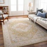 Jago 9' x 12'2" Traditional Khaki/Nutmeg/Light Peach/Smoke/Multi Brown/Medium Gray/Light Olive/Taupe/Dark Brown/Amber/Dusty Pink/Olive Area Rug - Hauteloom