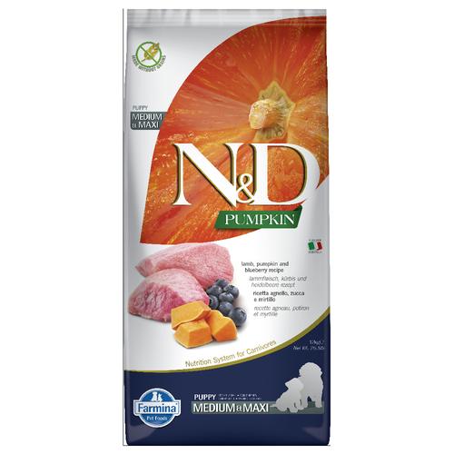 Farmina N&D Pumpkin Puppy Medium & Maxi mit Lamm und Blaubeere – 2 x 12 kg