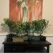 Lucky Bonsai Limited Bonsai Tree, Ceramic | 16 H x 10 D in | Wayfair T-8GTOV-SEA-TIG-FIC