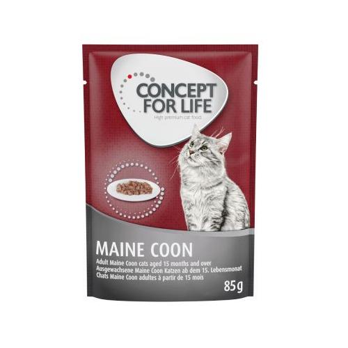 24x85 g Maine Coon Adult Ragout-Qualität Concept for Life Katzenfutter nass