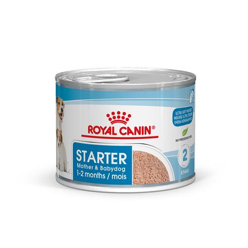 96x195g Royal Canin Starter Mousse Mother & Babydog Nassfutter Hund