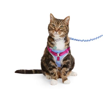 YOULY Purple Outdoor Large Cat Harness & Lead