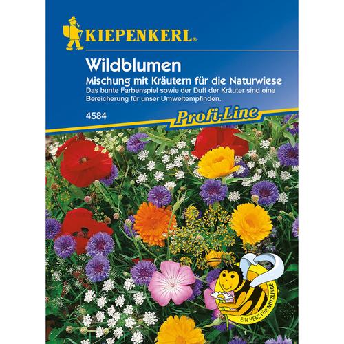 Kiepenkerl - Blumensamen, Wildblumen mit Kräutern, lila, rot & orange
