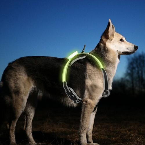 Randaco - Hundegeschirr LED Hunde Welpen-Geschirr Brustgeschirr Leuchtend Ausbruchsicher L