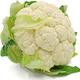 Vegetable Plants - Cauliflower 'White Excell' - 12 x Large Plant Pack - Garden Ready + Ready to Plant - Premium Quality Plants