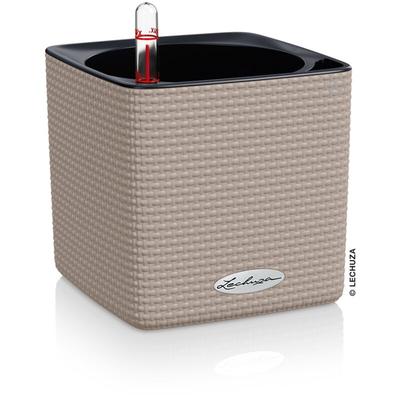 Cube Color 14 Komplettset sandbraun - Lechuza