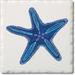CounterArt Indigo Coastal Starfish Absorbent Stone Tumbled Tile Coaster Set of 4 Made in The USA Protective Cork Backing