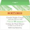 Burt's Bees - Crema notte delicata Crema viso 50 g unisex