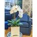 Creative Displays, Inc. Orchid Floral Arrangement in Pot Polysilk, Ceramic in White | 29 H x 14 W x 11 D in | Wayfair CDFL5162