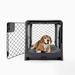 Revol Charcoal Double-Door Collapsible Dog Crate with Tray and Divider, 35" L X 23" W X 24" H, Medium, Black