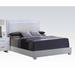 Contemporary and Casual Queen PU Panel Bed with HB w/High Gloss Back Panel & Padded HB/FB/Rails, Chrome Straight Leg