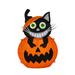 The Holiday Aisle® Pumpkin & Cat Lighted Display in Black/Orange | 22.83 H x 9.06 W x 14.17 D in | Wayfair 2576D4A870AA4820BE0DBE9A87E5555A