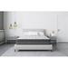 Twin XL Medium 12" Hybrid Mattress - Alwyn Home Baumeister | 80 H x 39 W 12 D in Wayfair 9156F5F3D89840BFB2BA91A0005112A9