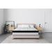 Twin Medium 11" Hybrid Mattress - Alwyn Home Battiste | 75 H x 39 W 11 D in Wayfair AE873839FADF4059B185DF120A18E089