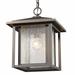 Z-Lite Aspen Single Light 11" Wide Outdoor Pendant