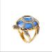 Kate Spade Jewelry | Kate Spade Paradise Found Turtle Ring Size Of 6 | Color: Blue/Gold | Size: Os
