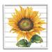 Stupell Industries Yellow Sunflower Blossom Bold Petals Rustic Design by Elizabeth Medley - Print Wood in Brown | 12 H x 12 W in | Wayfair