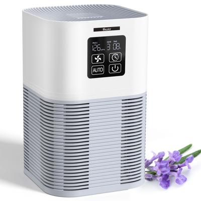 2 in 1 Air Purifier W/ H13 Filters Odor Eliminator...