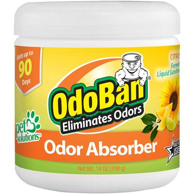 OdoBan 9735K61-14Z12D 14 oz. Citrus Solid Odor Absorber - 12/Case