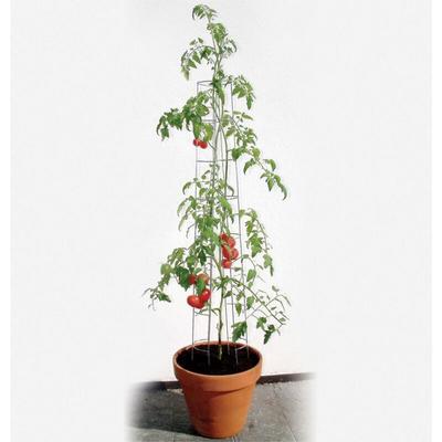 Tomatenturm 180 cm hoch Spalier Rankhilfe Rankgitter - Bellissa