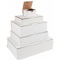 Boîte postale blanche 430 x 300 x 180mm - colis 50 boites