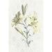 Gracie Oaks Victorian Blooms III Canvas | 12 H x 8 W x 1.25 D in | Wayfair 646E3692582744F28322A807CB5CF530