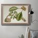 Bayou Breeze Tropical Foliage & Fruit V - Picture Frame Painting on Canvas Canvas, Solid Wood in White | 36 H x 24 W x 2.5 D in | Wayfair