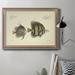 Rosecliff Heights Bloch Antique Fish III - Picture Frame Painting on Canvas Canvas, Solid Wood in Gray | 16 H x 20 W x 2.5 D in | Wayfair