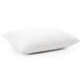 Cheer Collection Hypoallergenic Hollow Fiber Pillow Fiber/100% Cotton in White | 36 H x 20 W x 2 D in | Wayfair CC-HFPLKG