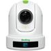 BirdDog P120 1080p Full NDI PTZ Camera (White) BDP120W