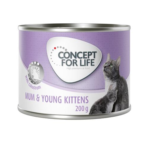6 x 200 g Mousse Mum & Young Concept for Life Katzenfutter nass