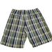 American Eagle Outfitters Shorts | American Eagle Mens Shorts Blue Plaid 33 Cotton 4 Pockets Classic Flat Front | Color: Blue/Green | Size: 33