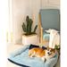 Tucker Murphy Pet™ Bozhan Dog"s Kennel & Cat"s Kennel, Which Can Be Used To Dismantle & Wash The Dog"s Mattress For Sleeping in Blue | Wayfair