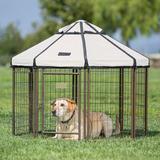 Advantek Pet Gazebo Dog Kennel Metal in Gray | 44.5 H x 49.3 W x 49.3 D in | Wayfair 23404BS